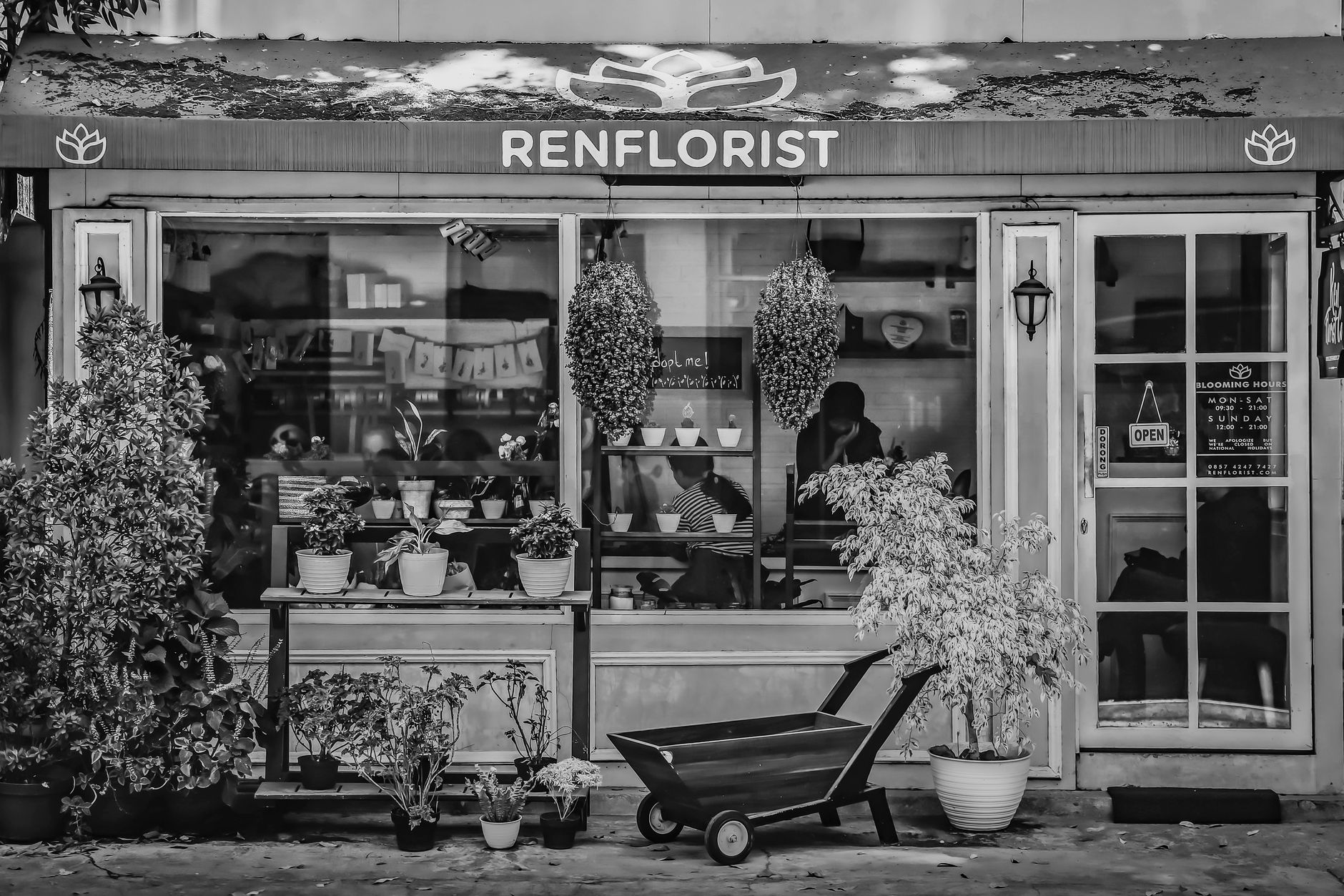 Fleuriste à Compiègne